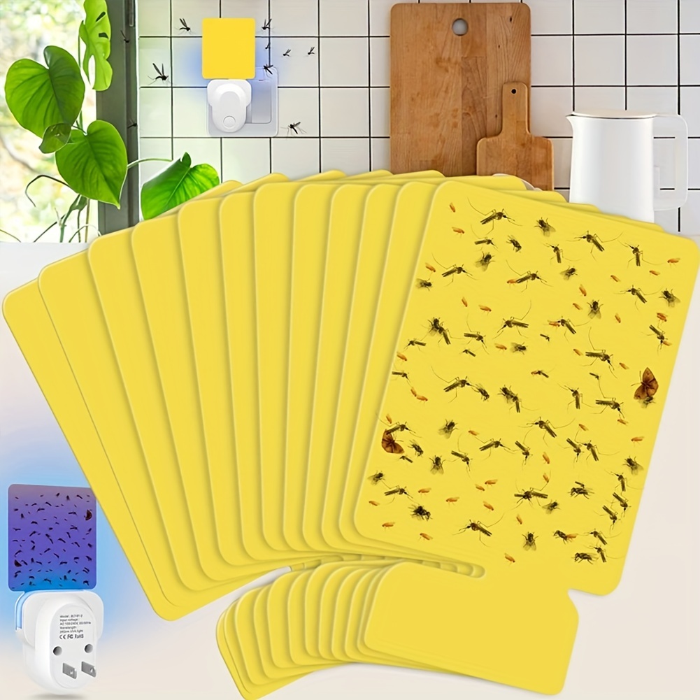  Fruit Fly Traps Refills with 16pcs Sticky Pads Traps