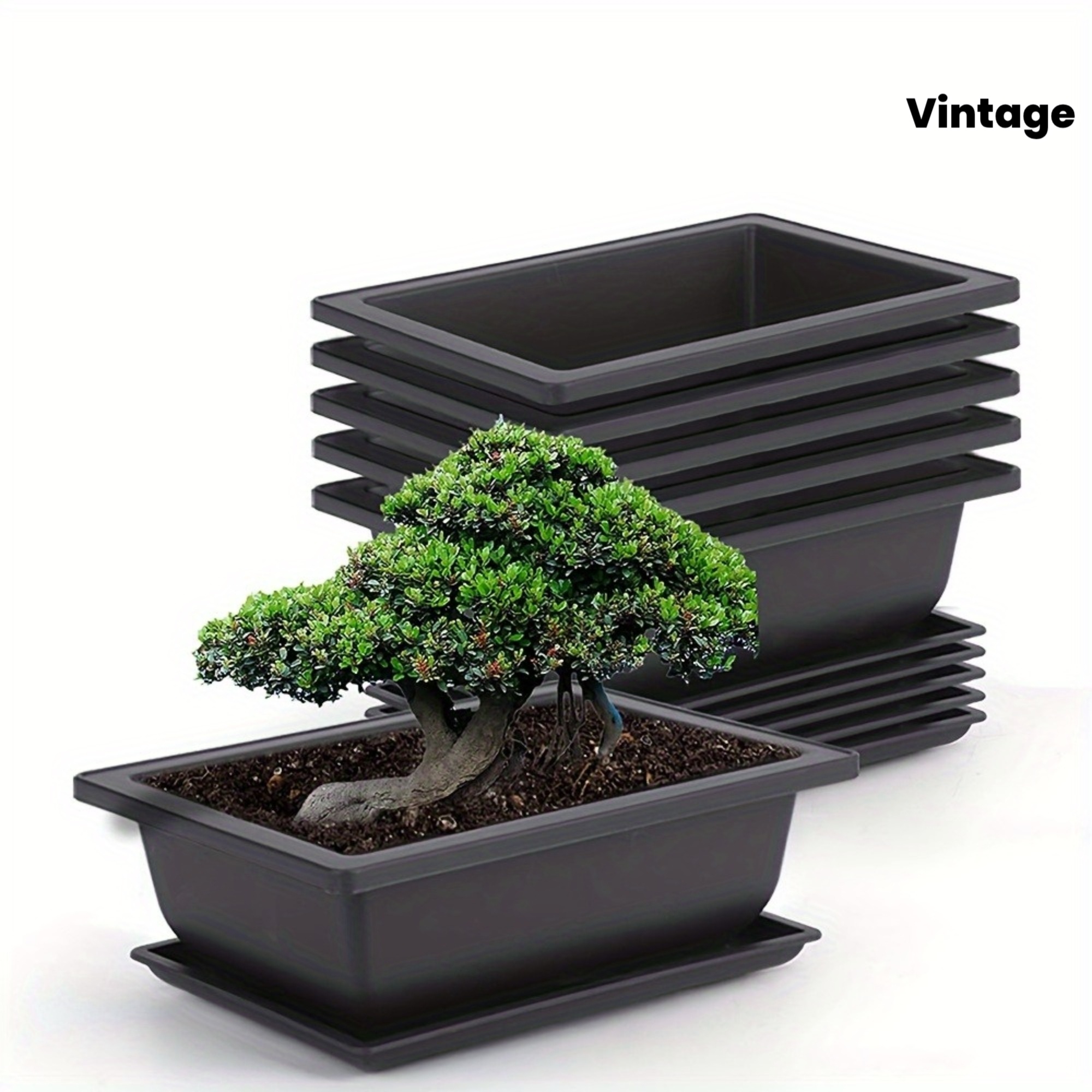bonsai pots sold on Temu United States