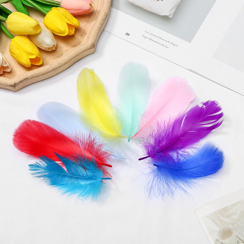Plumas coloridas para manualidades, manualidades, plumas de arco iris para  decoración de fiesta de atrapasueños, máscara de plumas, fabricación de