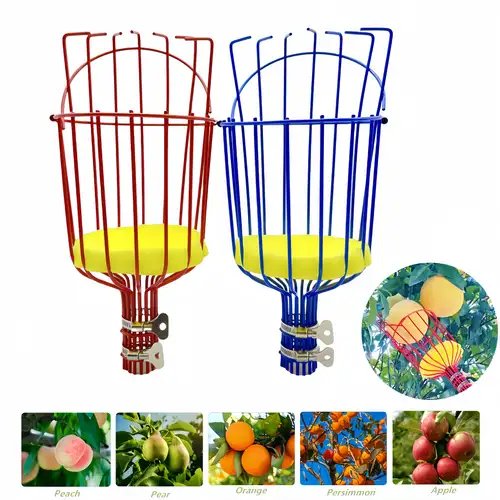 Herramienta para recoger frutas, poste extensible de 13 pies con cesta para  recolector de frutas, herramienta de recolección de frutas de acero
