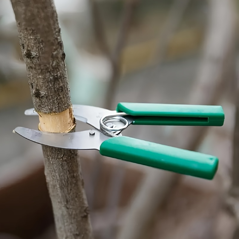 El Cuchillo Injertador es una herramienta durable de alta calidad para  injertar árboles frutales y plantas de huerto o jardín. Imprescindible para  agricultores. — Torotrac - Todo para tu Finca, granja o vivero