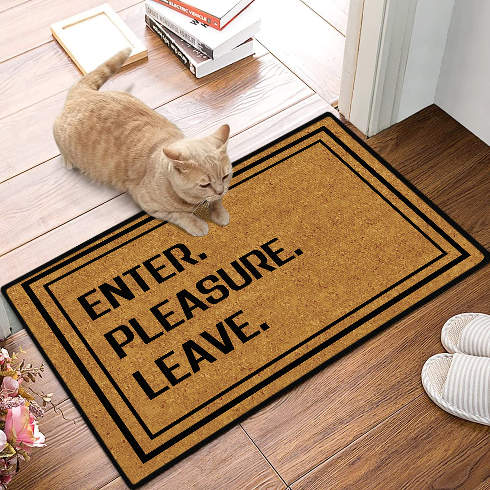 Funny Coir Doormat, Before You Break Into My House, Stand Outside Front  Door Mat Entryway Outdoor Mat With Heavy Duty Front Porch Welcome Mats Entry  Natural Coconut Brown Mat - Temu