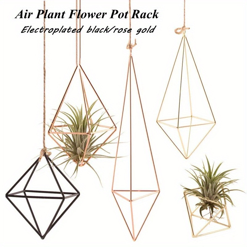 Présentoir de plante aérienne, support pour cube en bois avec fil de fer,  accessoires de décoration