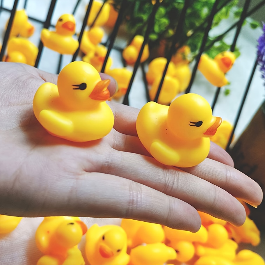 Hide-A-Duck! (100pc), Tiny Ducks To Prank Your Friends With!