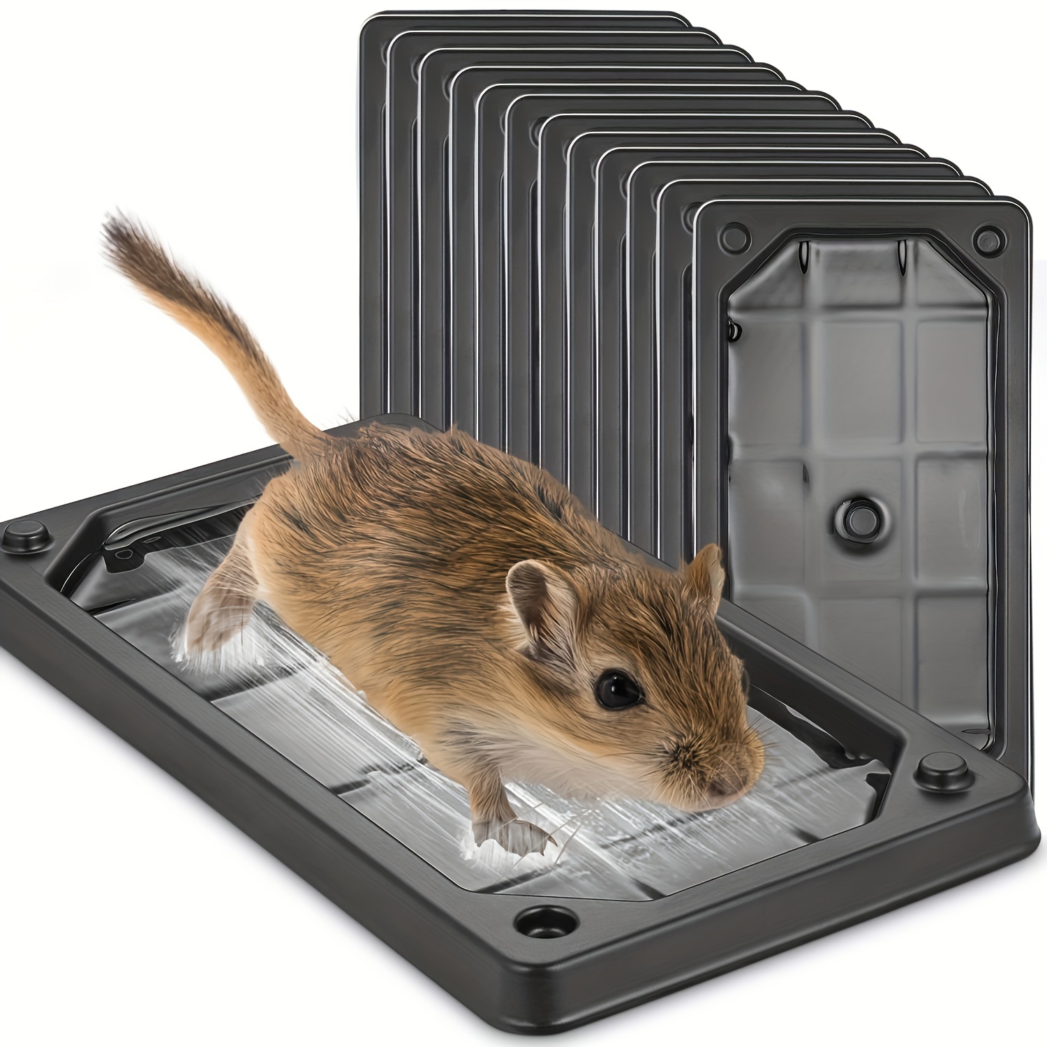 Mouse Traps Large Rat Traps Indoor Set of 24, 18 Reusable Mouse Traps and 6 Glue Traps Mouse Traps Indoor for Home Powerful Traps for The House - 24