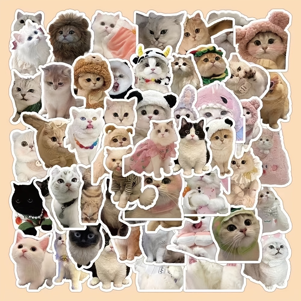 Bandeau d'oreilles de maison de poupée de Gabby Oreilles de chat