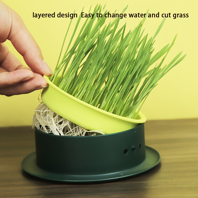 1pc Hydroponic Cat Grass Planter, Kit De Culture Dherbe À Chat Détachable,  Pot De Culture Dherbe À Chat (sans Graines) - Accessoires Animaux - Temu  Luxembourg