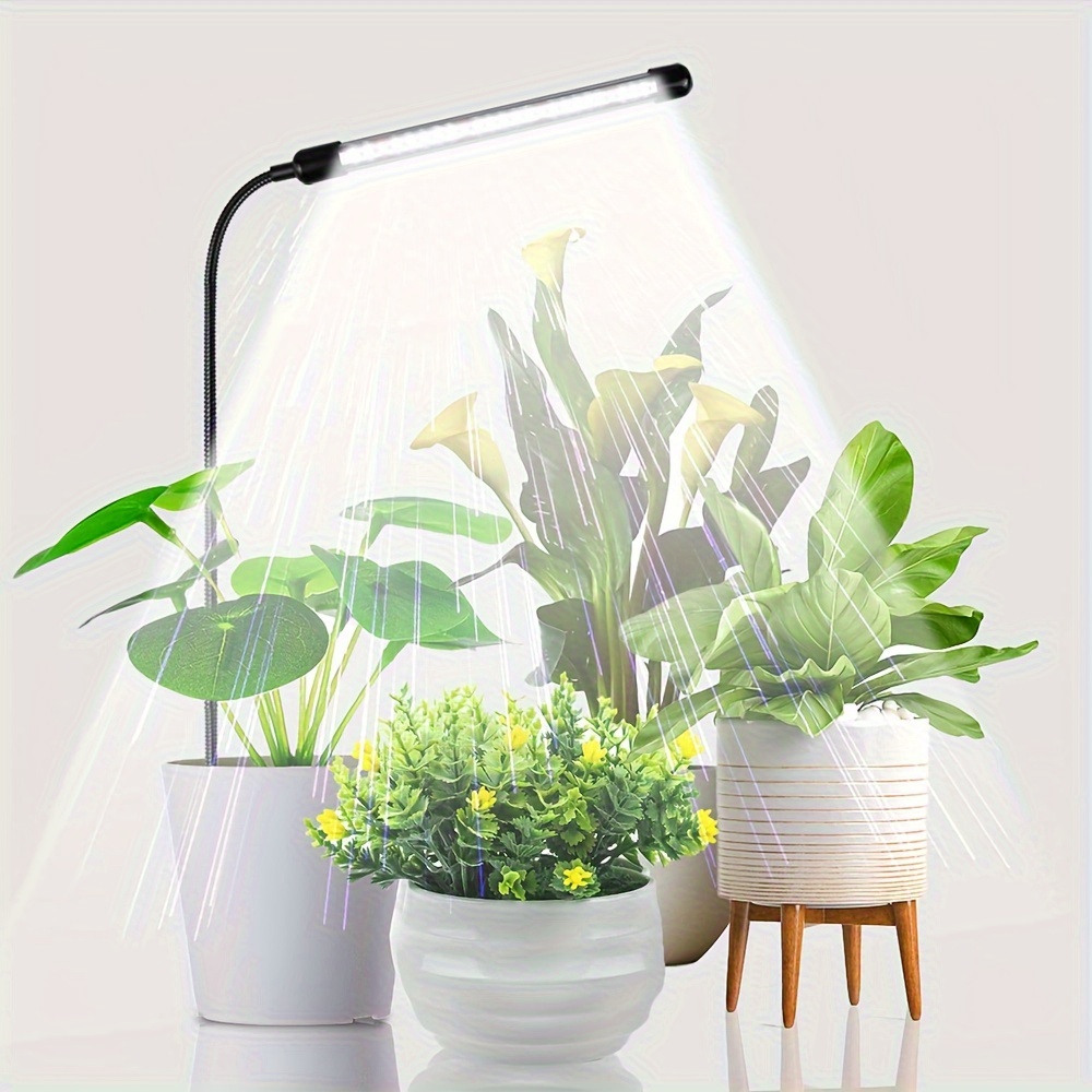 Small deals plant light