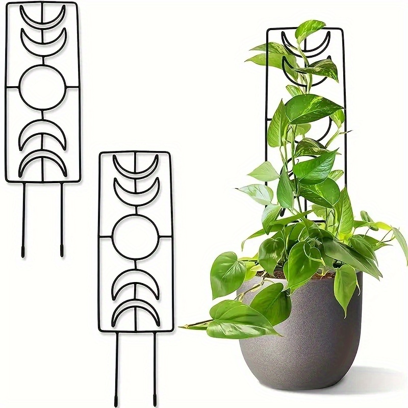 Enrejado de bambú natural en forma de escalera de 2 pies (23.6 in) para  plantas trepadoras, enrejado, plantas Hoya, hiedra, Monstera, verduras y