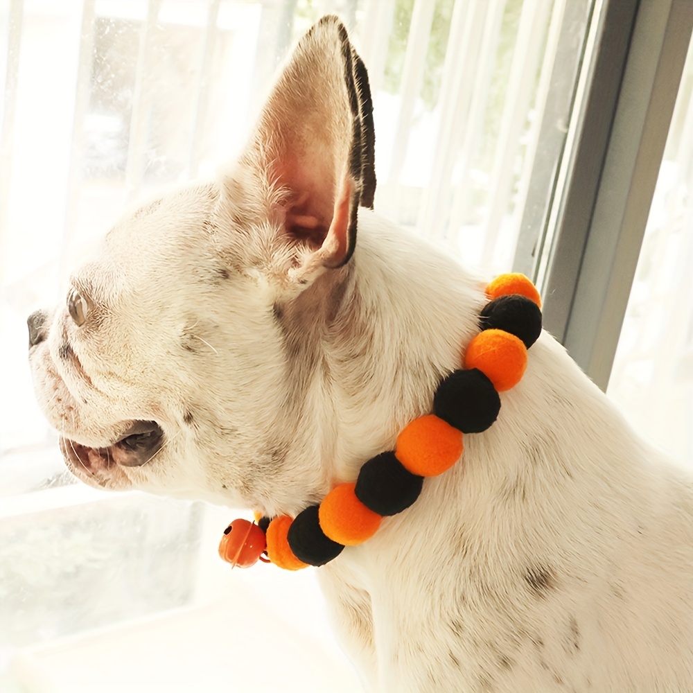  2 Pack cat Collar Halloween,Breakaway Small Dog Collars with  Bell and Flower Charm : Pet Supplies