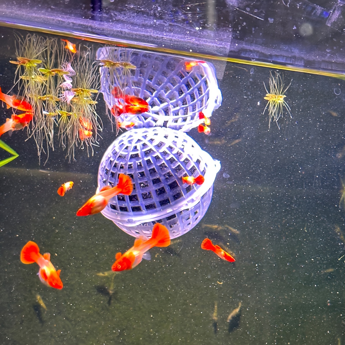 Aquarium Decor Artificial Plastic Green Moss Ball Fish - Temu