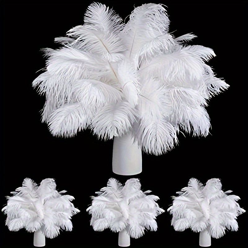 12pcs Natural Black Ostrich Feathers 12-14inch (30-35cm) for Wedding Party Centerpieces,Flower Arrangement and Home Decoration
