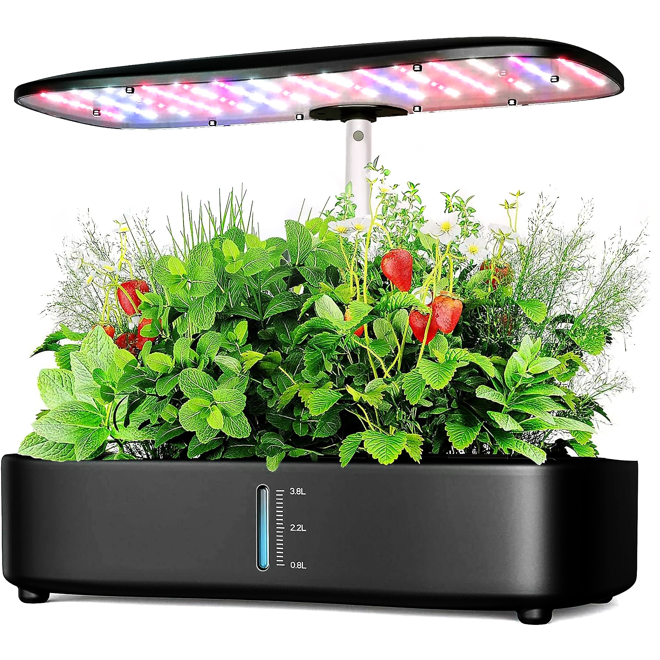 https://img.kwcdn.com/product/hydroponic-cultivation-kit/d69d2f15w98k18-724e1d26/Fancyalgo/VirtualModelMatting/64004349f6be23ca618eb34c2877e317.jpg?imageView2/2/w/500/q/60/format/webp