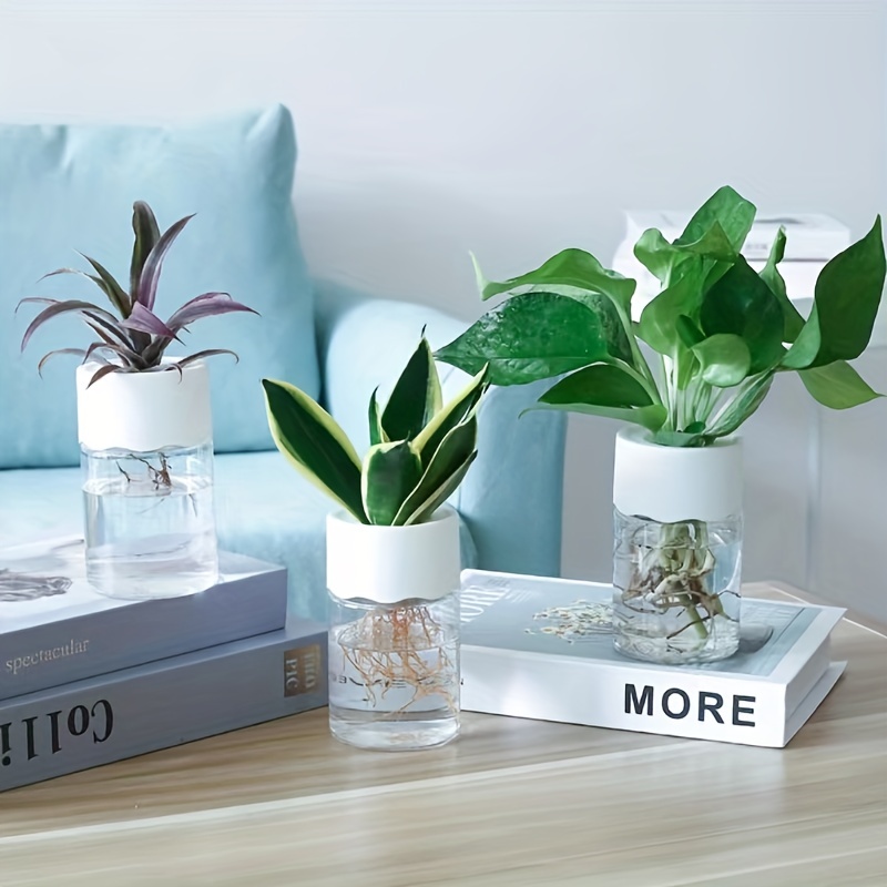 Pot de fleurs transparent à arrosage automatique, plantes hydroponiques  succulentes, mini jardinière, pots de fleurs brittop, décor de bonsaï pour  la maison