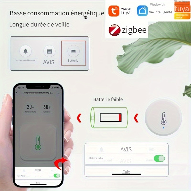 Thermomètre WiFi portable hygromètre se connecter à l'application Tuya et  res