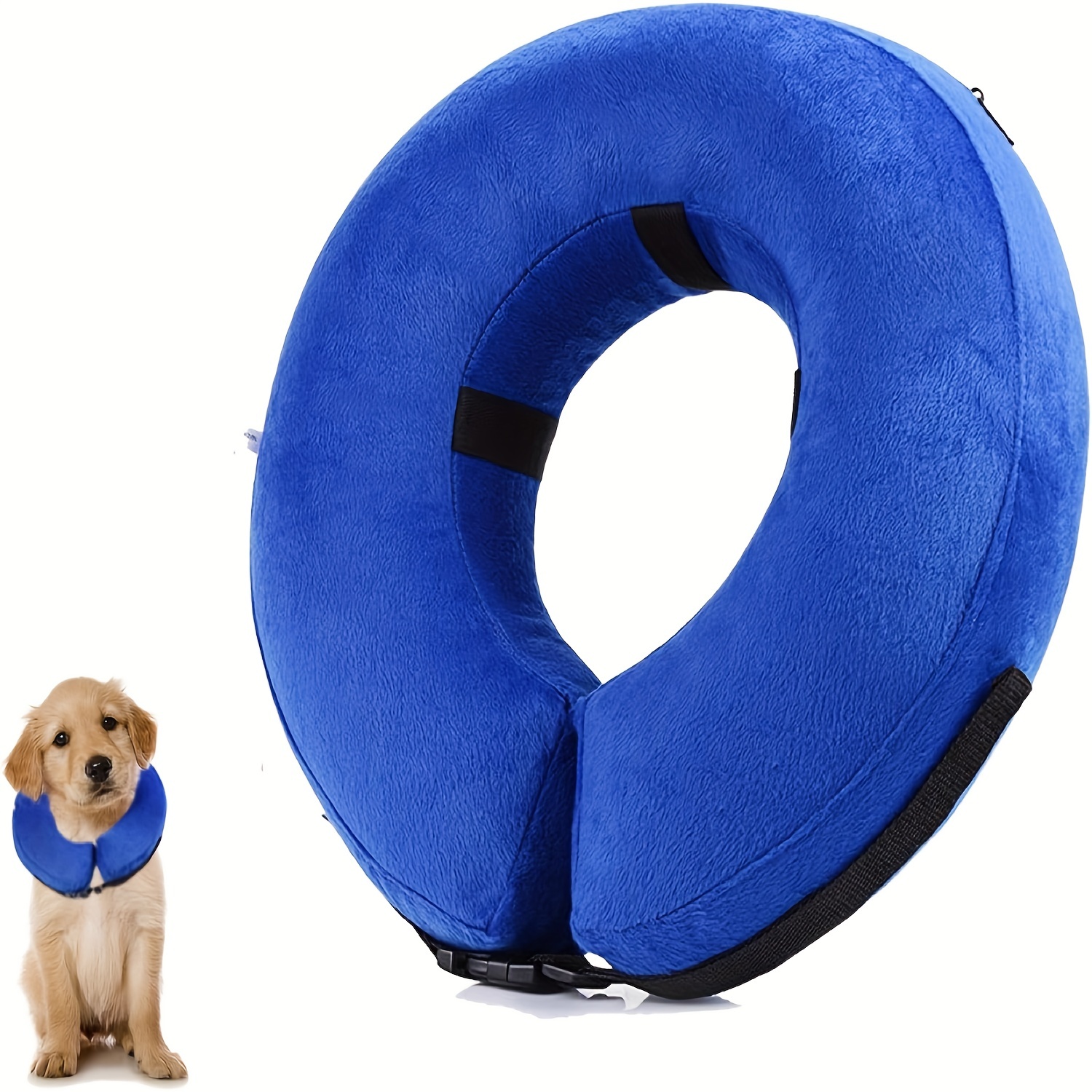 Pool noodle outlet dog cone