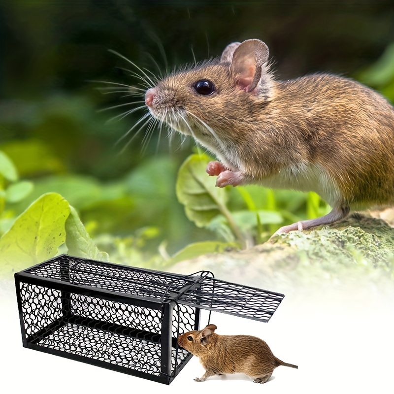 Piège à souris collant et à colle, attrape-rats et insectes, lutte