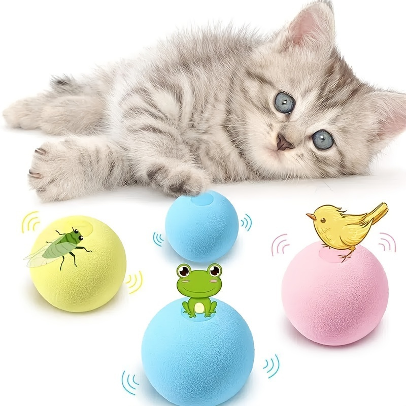 https://img.kwcdn.com/product/interactive-cat-ball/d69d2f15w98k18-20222de3/1d18fcec418/f12fc89e-c8e2-4a55-aebe-be031cdfffc7_800x800.jpeg.a.jpeg