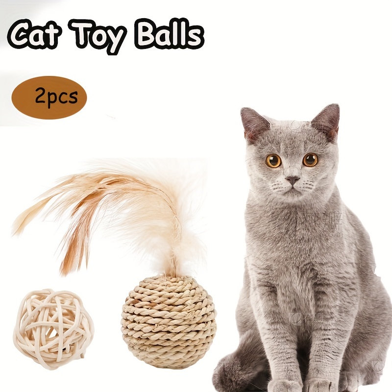 https://img.kwcdn.com/product/interactive-sisal-cat-toy-ball/d69d2f15w98k18-573dc75b/Fancyalgo/VirtualModelMatting/645cb0e5eceb658f992d04160d2a7f5d.jpg