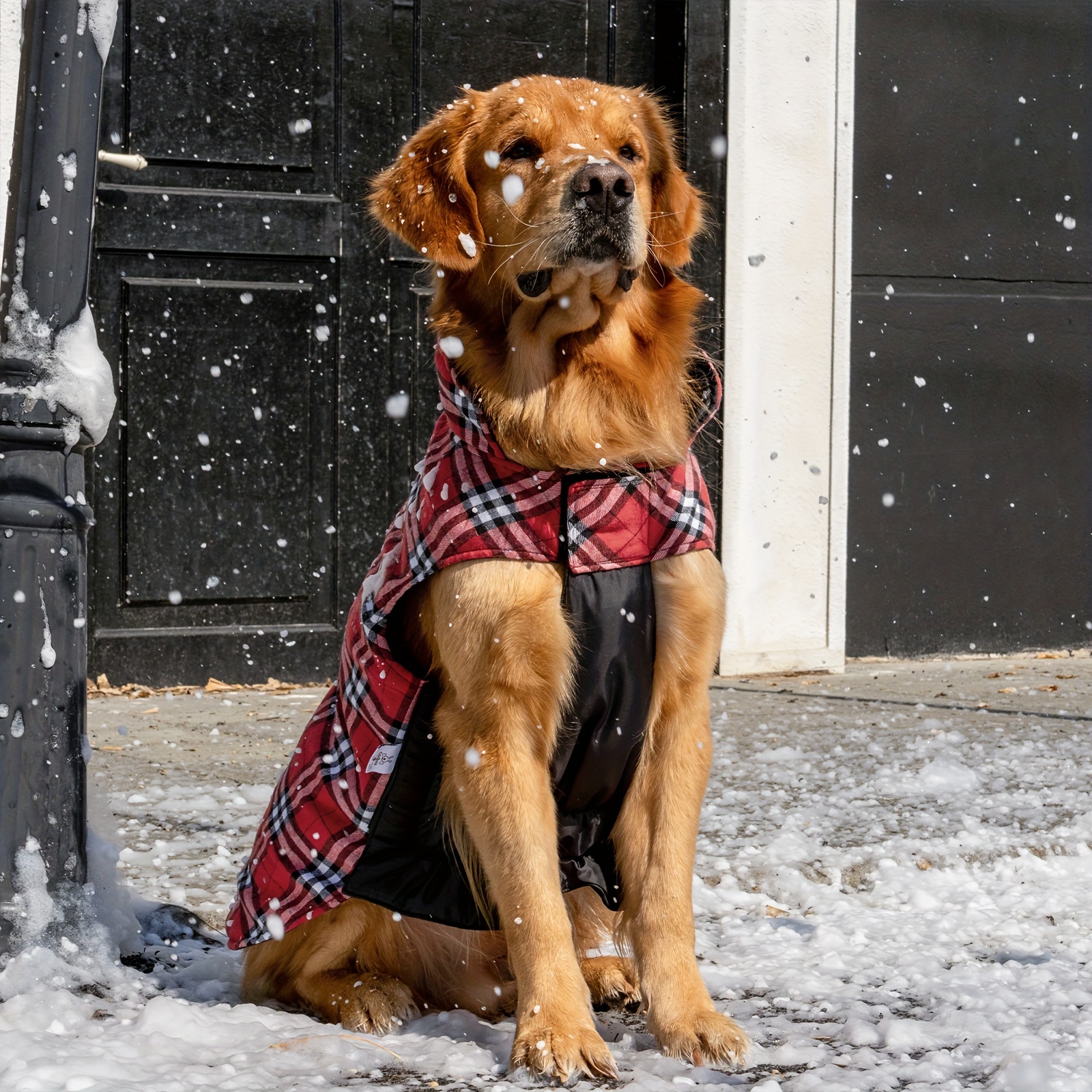 Beaver canoe dog clearance apparel