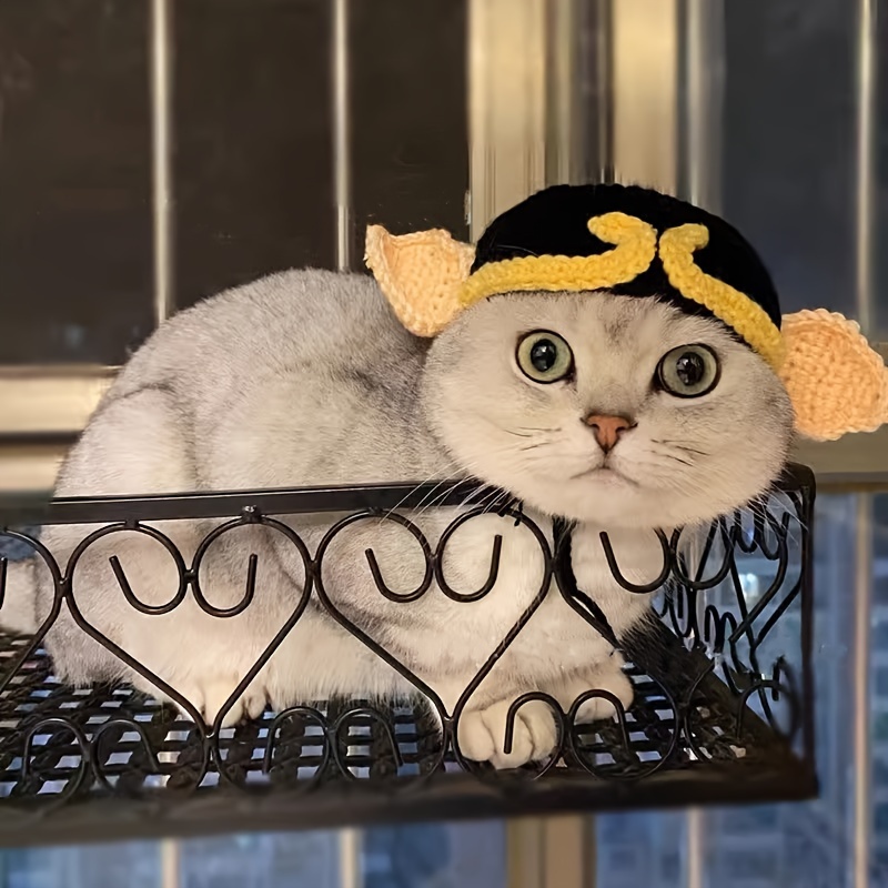 Cat Hat Cute - Temu