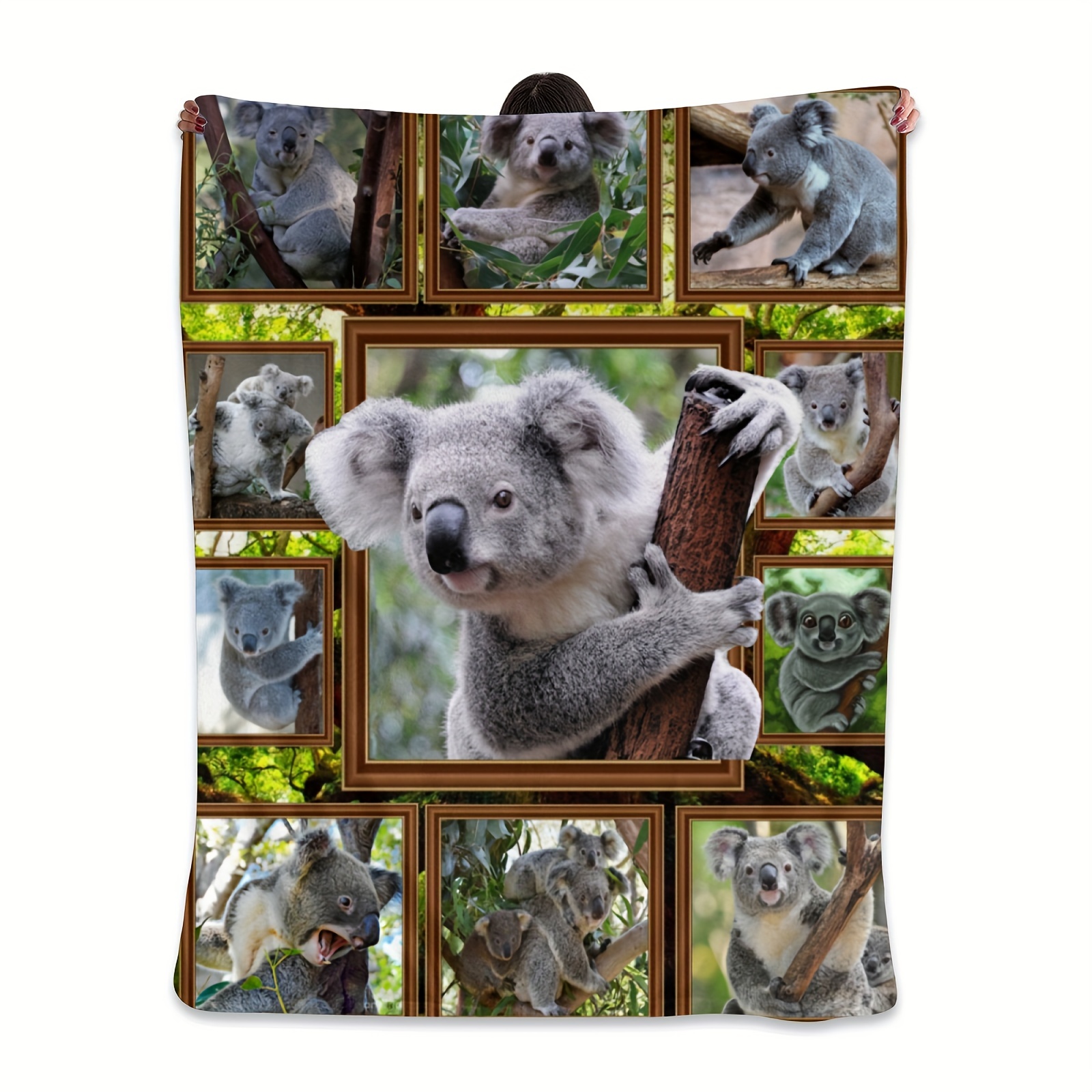 Koala Bears - Temu Canada