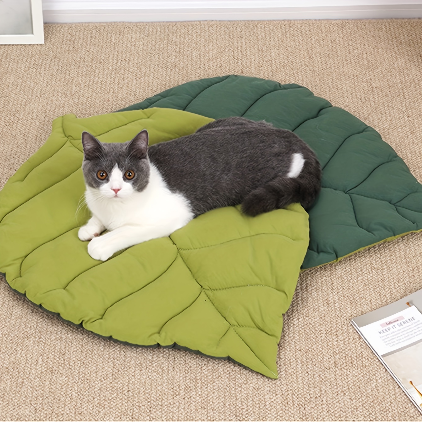 https://img.kwcdn.com/product/leaf-shaped-cat-pad/d69d2f15w98k18-97d0971e/Fancyalgo/VirtualModelMatting/ece5b481c3a26fff714c299e76fa9fdb.jpg