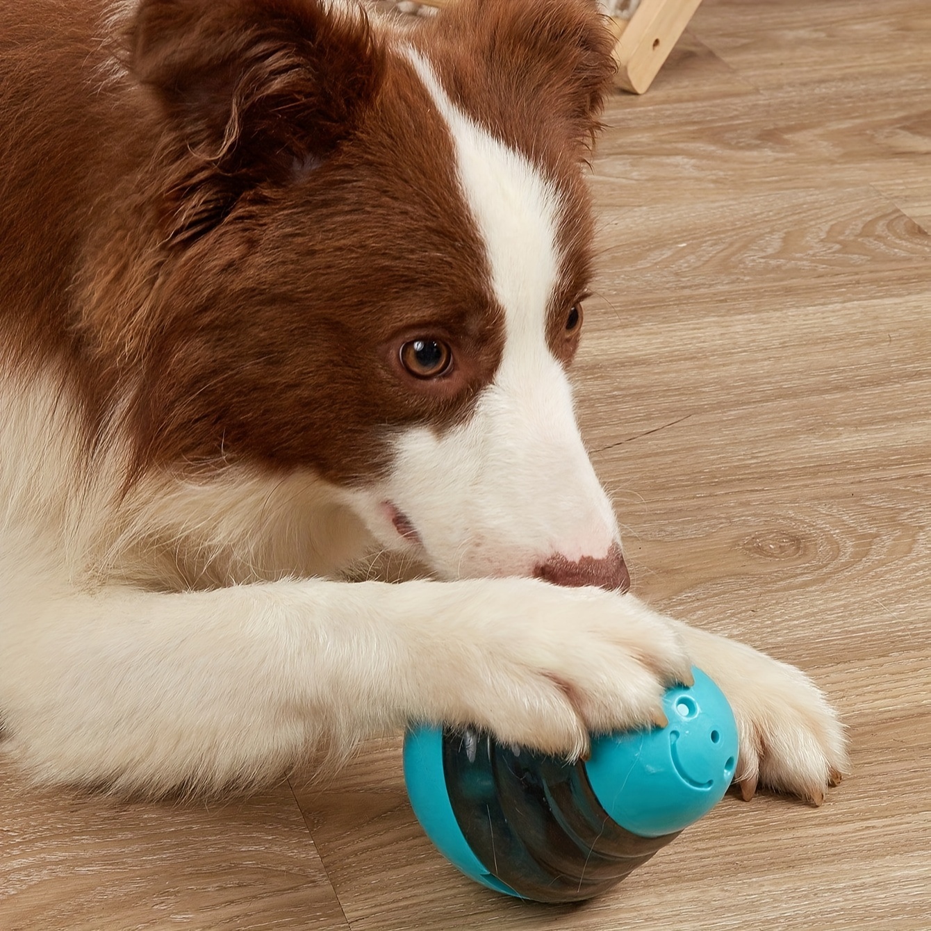 14 Awesome Dog Puzzle Toys - Stop Boredom Today — Pumpkin®