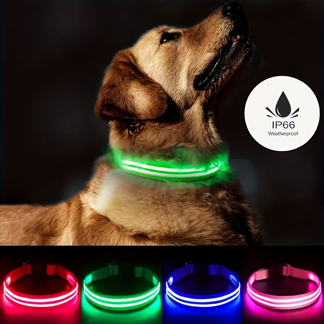 Collar Luminoso Completo Luz Led Perro Anti pérdida - Temu Chile