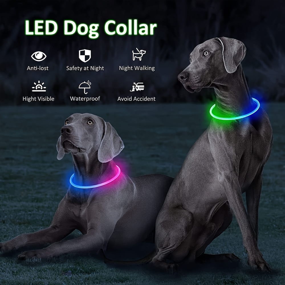 Zoofari led dog outlet collar