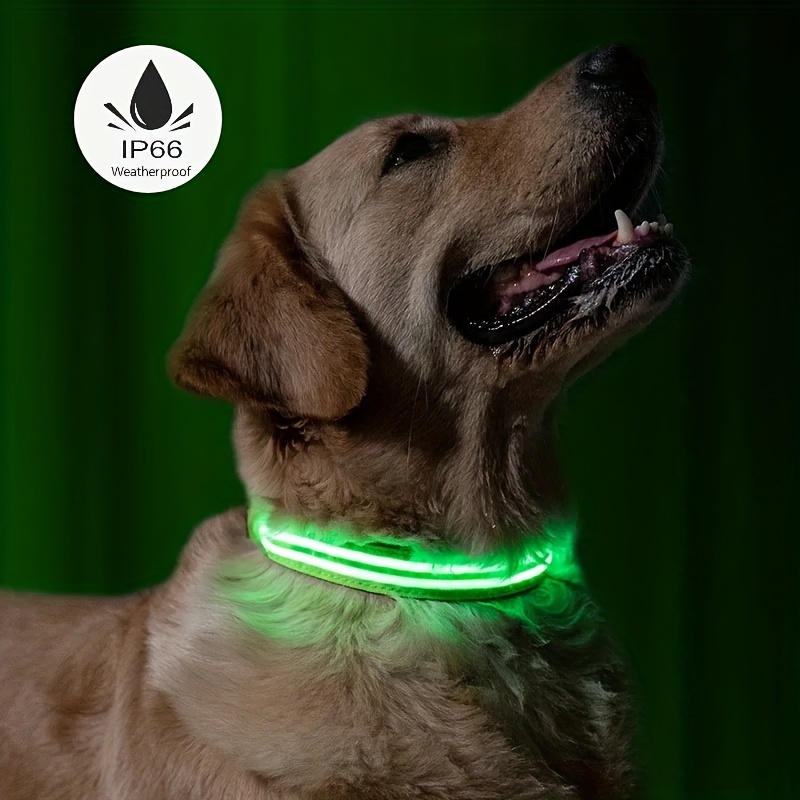 Joytale Collar de perro con luz LED, recargable por USB, para seguridad  nocturna, collar que brilla en la oscuridad para perros pequeños, medianos  y