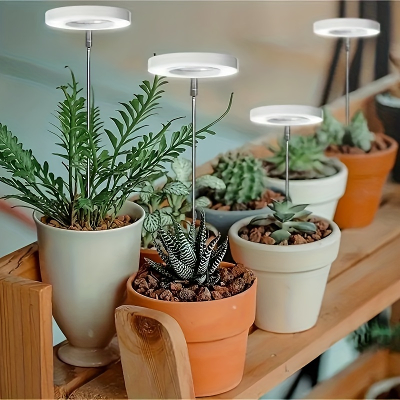 https://img.kwcdn.com/product/led-plants-grow-light/d69d2f15w98k18-2e5061ec/Fancyalgo/VirtualModelMatting/a1189a8c37964b8fade25dff2b6f3e42.jpg?imageView2/2/w/500/q/60/format/webp