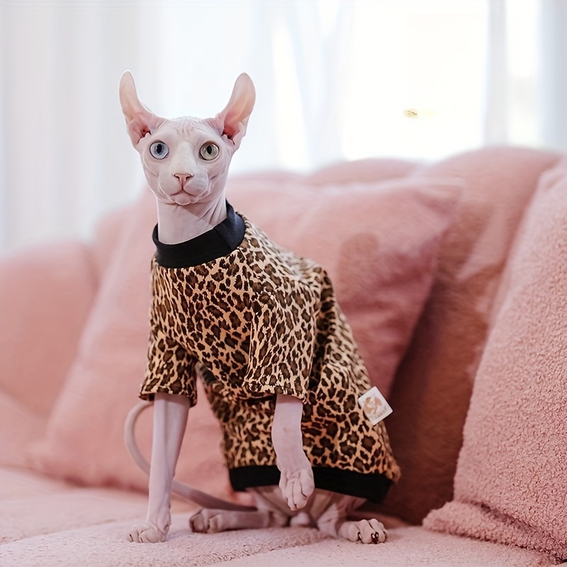 Hairless cat outlet clothes