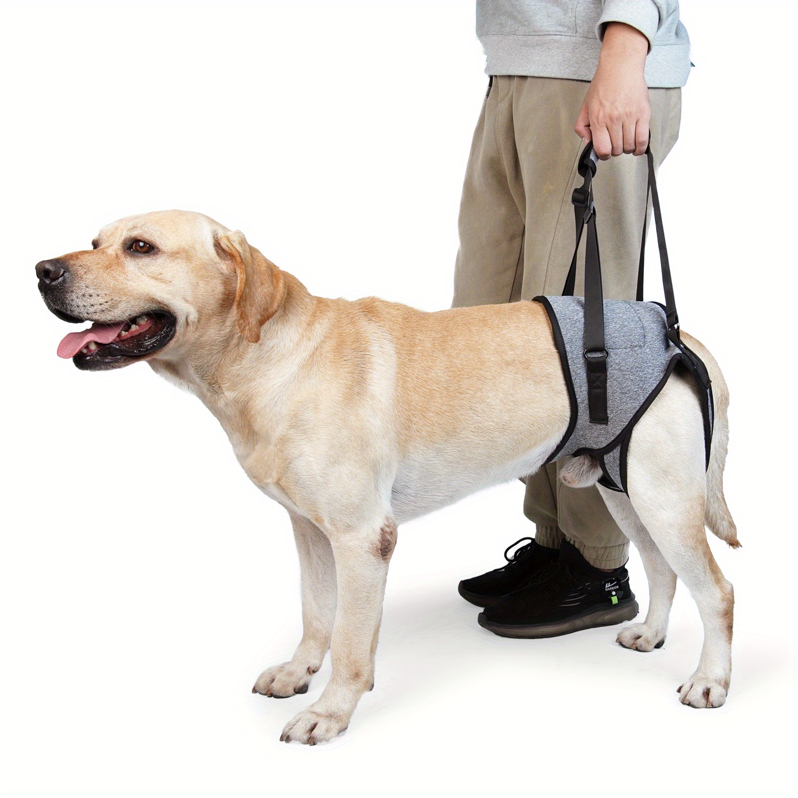 Dog Back Brace For IVDD, Back Brace Full Body Harness, Dog Back Protector