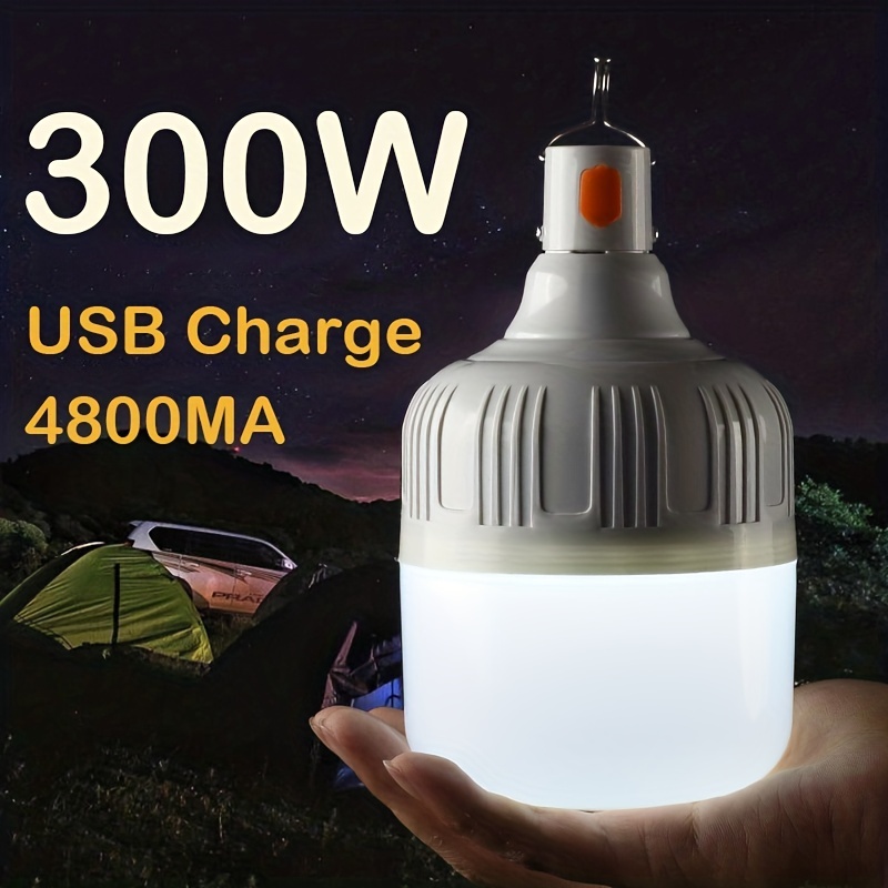 30' Strand Light - Camping Lights - Dimmable - Plugs into USB – The Camp  Life