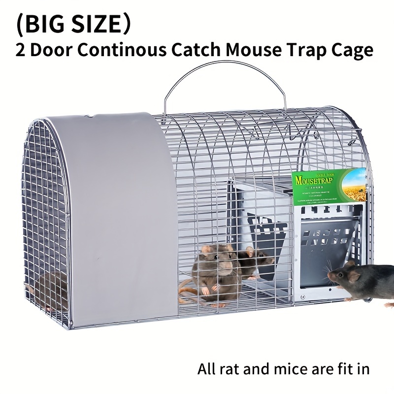 Heavy Duty Squirrel Trap, Folding Live Small Animal Cage Trap, Humane Cat  Traps For Stray Cats, Rabbits, Raccoons, Skunks, Possums And More Rodents,  Catch And Release - Temu