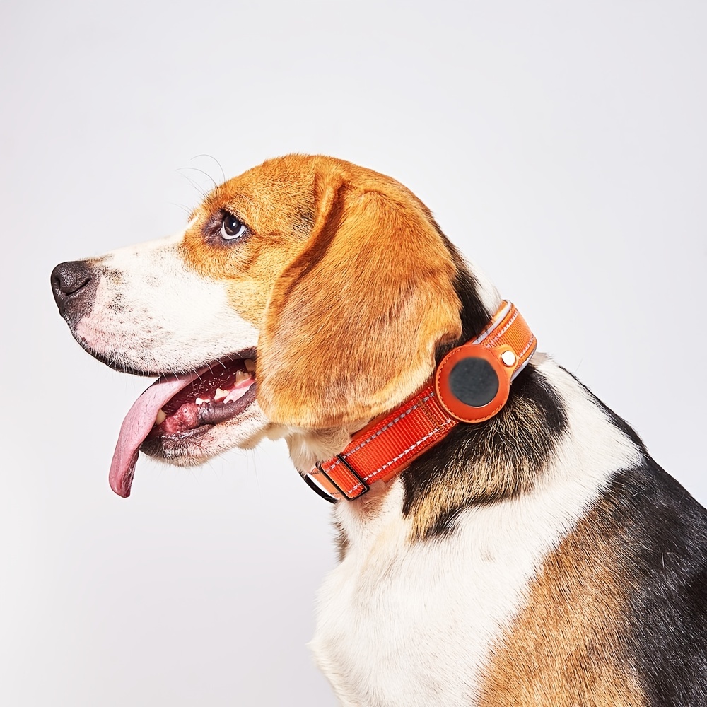 Gps Para Collar De Perro - Temu