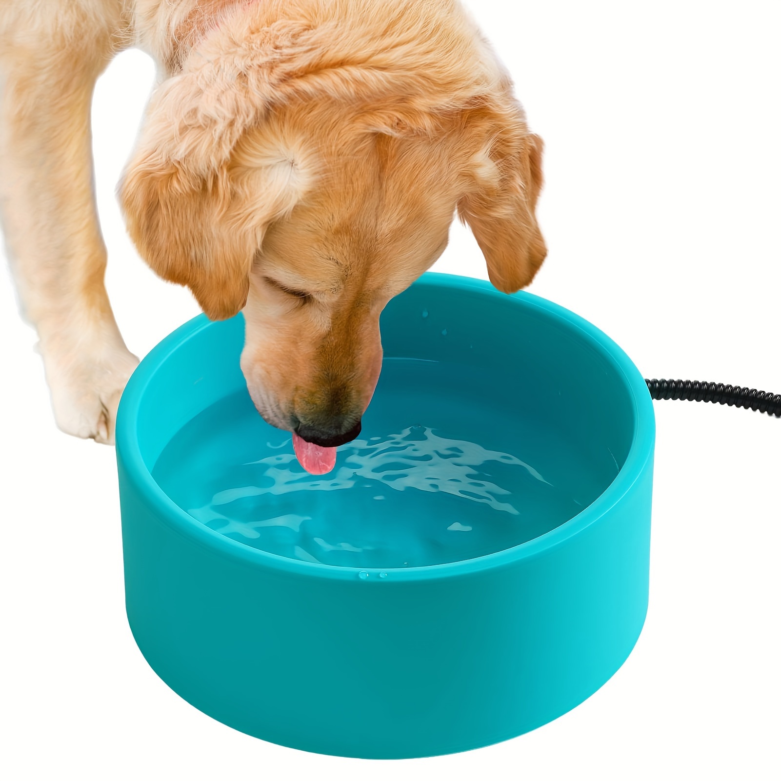 Thermal Stainless Steel Heated Pet Bowl - Essex County Co-Op