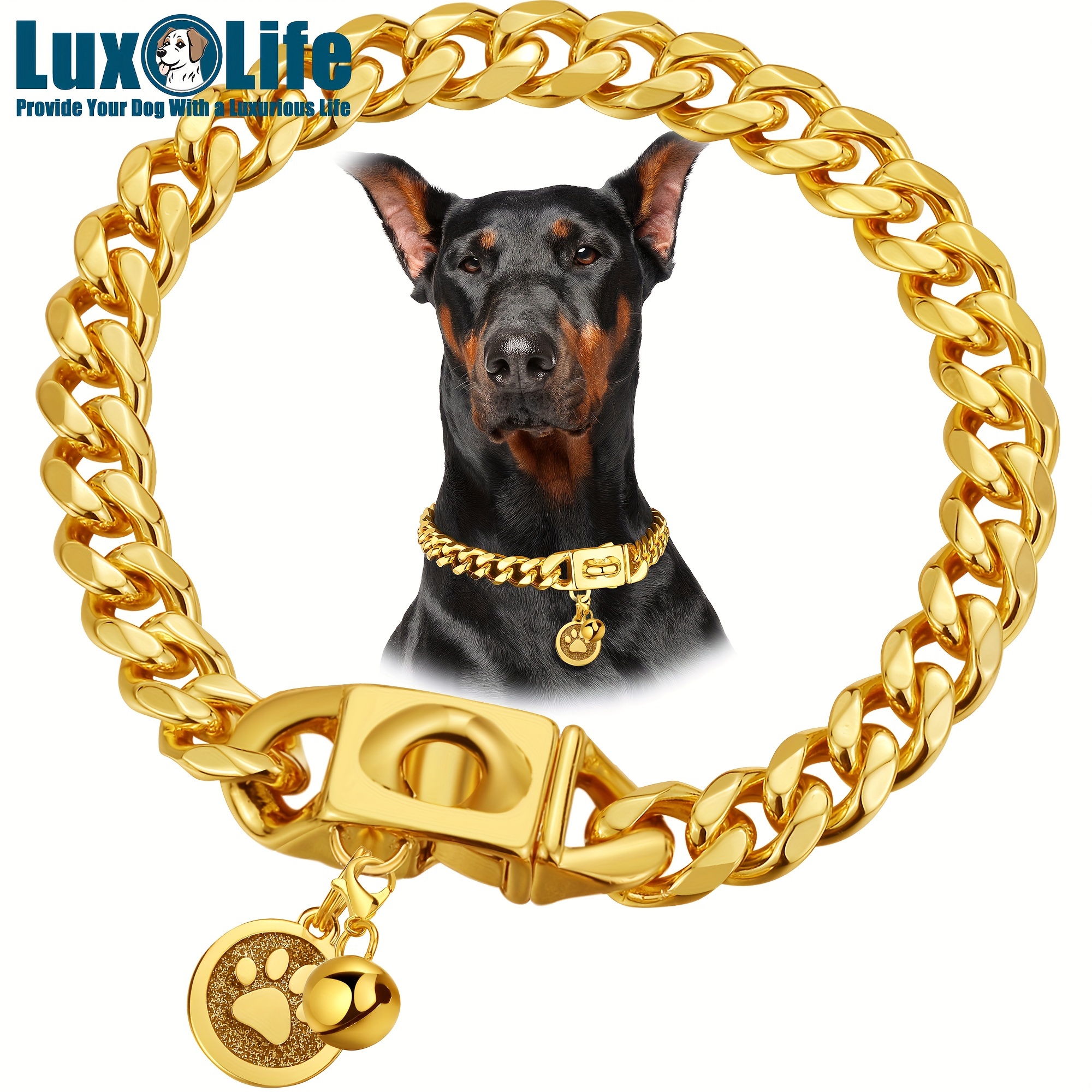 Pitbull with outlet chain collar