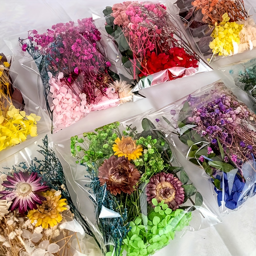 Rosas púrpuras secas / Flores secas / Rosas pequeñas / Joyas de resina /  Decoración de flores secas -  España