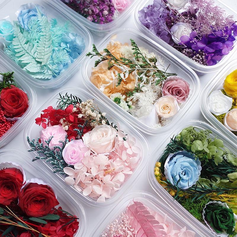  SEWACC 9 juegos de flores secas en relieve de resina,  decoración de plantas, flores secas para resina, espécimen de plantas secas  para resina, flores secas decorativas para resina, marcapáginas para  teléfono 