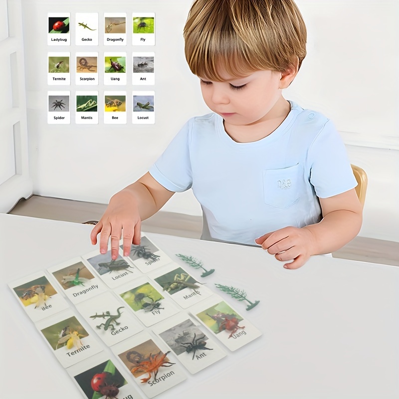 Tarjeta Juego Animales Pvc Mesa Luz Montessori Juguetes - Temu