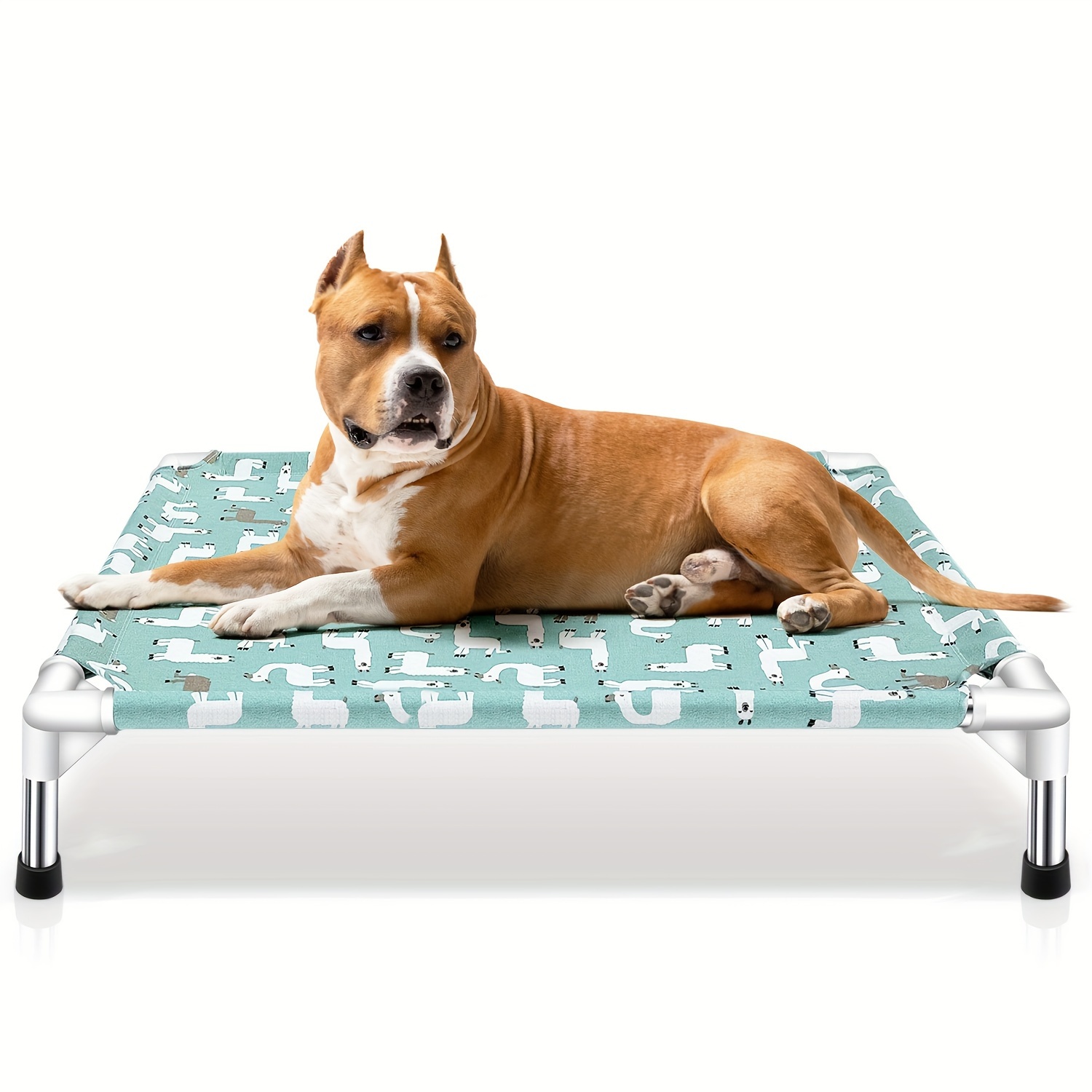 Elevated dog shop bed petsmart