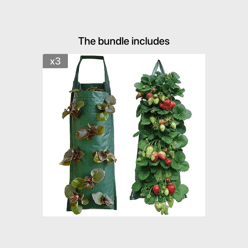 EBOCACB 3 pcs Hanging Planter Bag with Handles, Plastic Hanging Strawberry  Planting Containers Strawberry Grow Bags Foldable Durable Growing Bags Grow