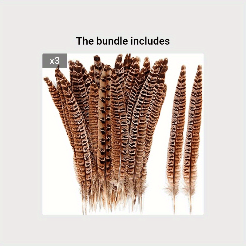 Female Ringneck Pheasant Tails Feathers Natural Feathers / - Temu