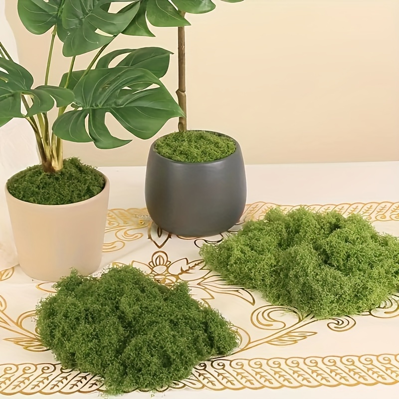 Plantas artificiales de simulación de musgo preservado, decoración