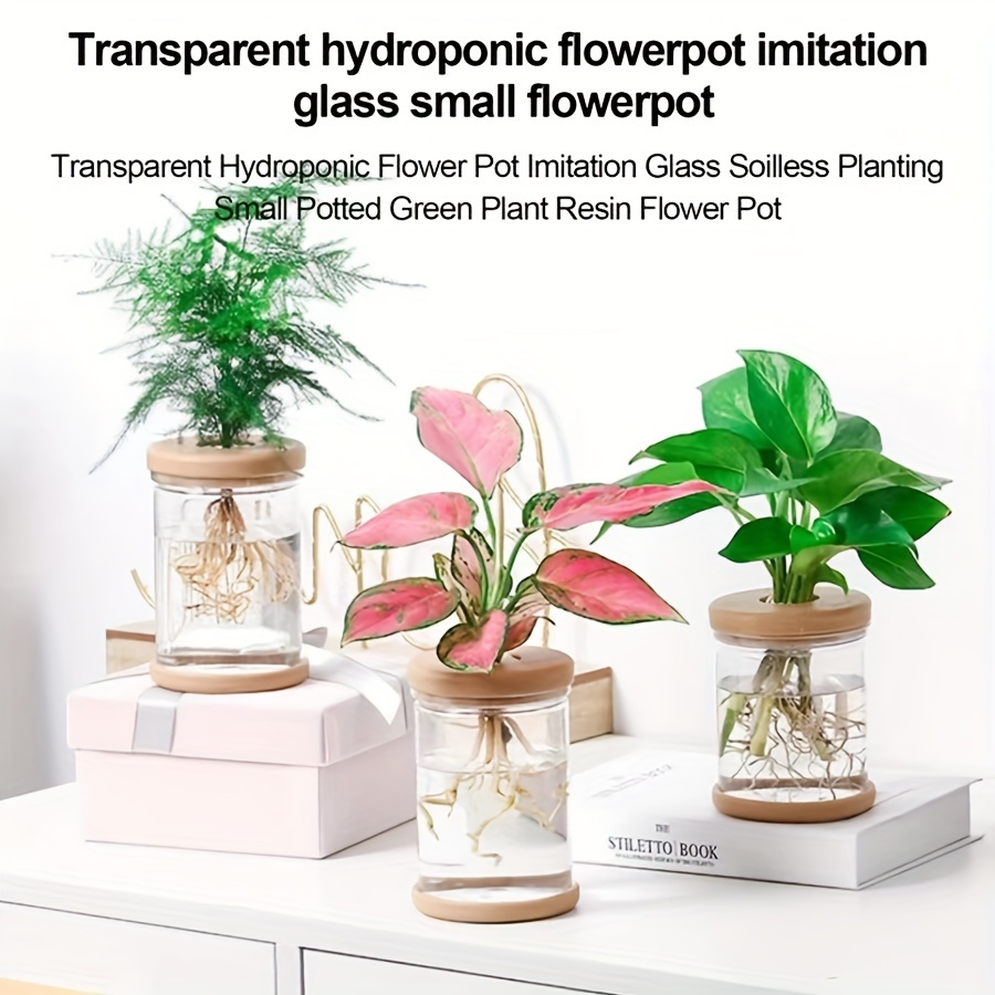 Pot de fleurs transparent à arrosage automatique, plantes hydroponiques  succulentes, mini jardinière, pots de fleurs brittop
