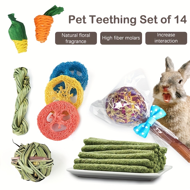 Juguetes de conejo, 30 piezas de conejillo de indias, juguetes de conejo,  accesorios naturales de Timothy, palitos de hámster, juguetes para dientes