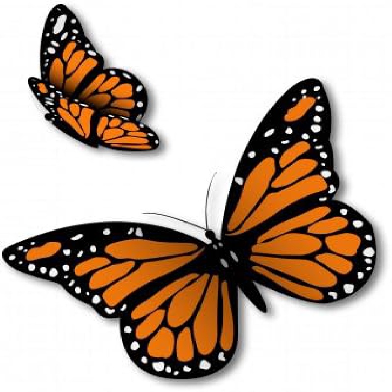 Halloween Decoration 10pcs 12cm 4.72inch Monarch Butterfly