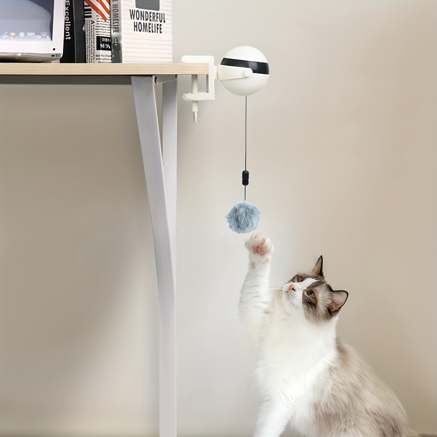 Balle de piste pour chat avec ventouse, balles orbitales pour chat, jouet de  fenêtre à ventouse, jeux de puzzle — il peut moudre le visage et aider à  ramer les boules de